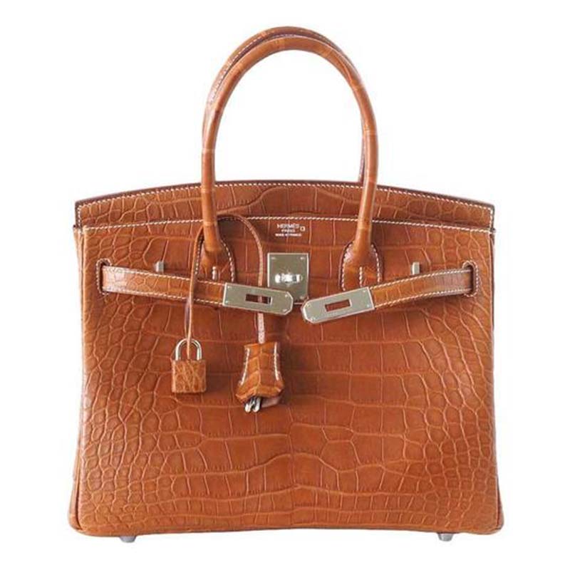 Close-up of gold hardware clasp on Hermes Birkin 30 Bag in Brown
