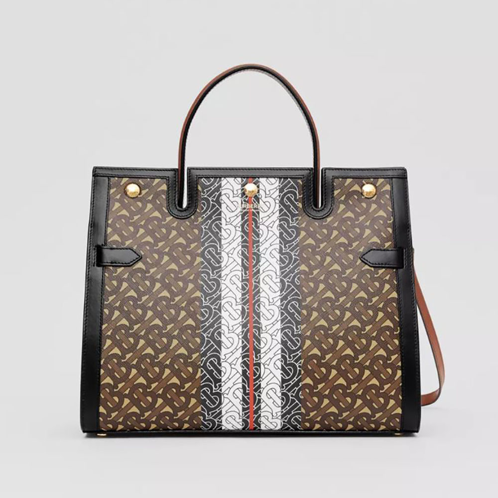 Front view of Burberry Women Medium Monogram Stripe E-canvas Title Bag