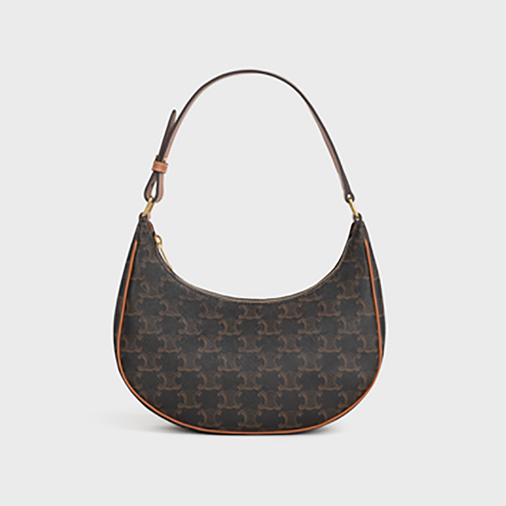 Front view of Celine Women Ava Bag in Triomphe Canvas-Brown