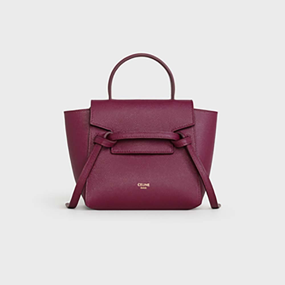 Comprehensive Guide to the Celine Pico Belt Bag Family