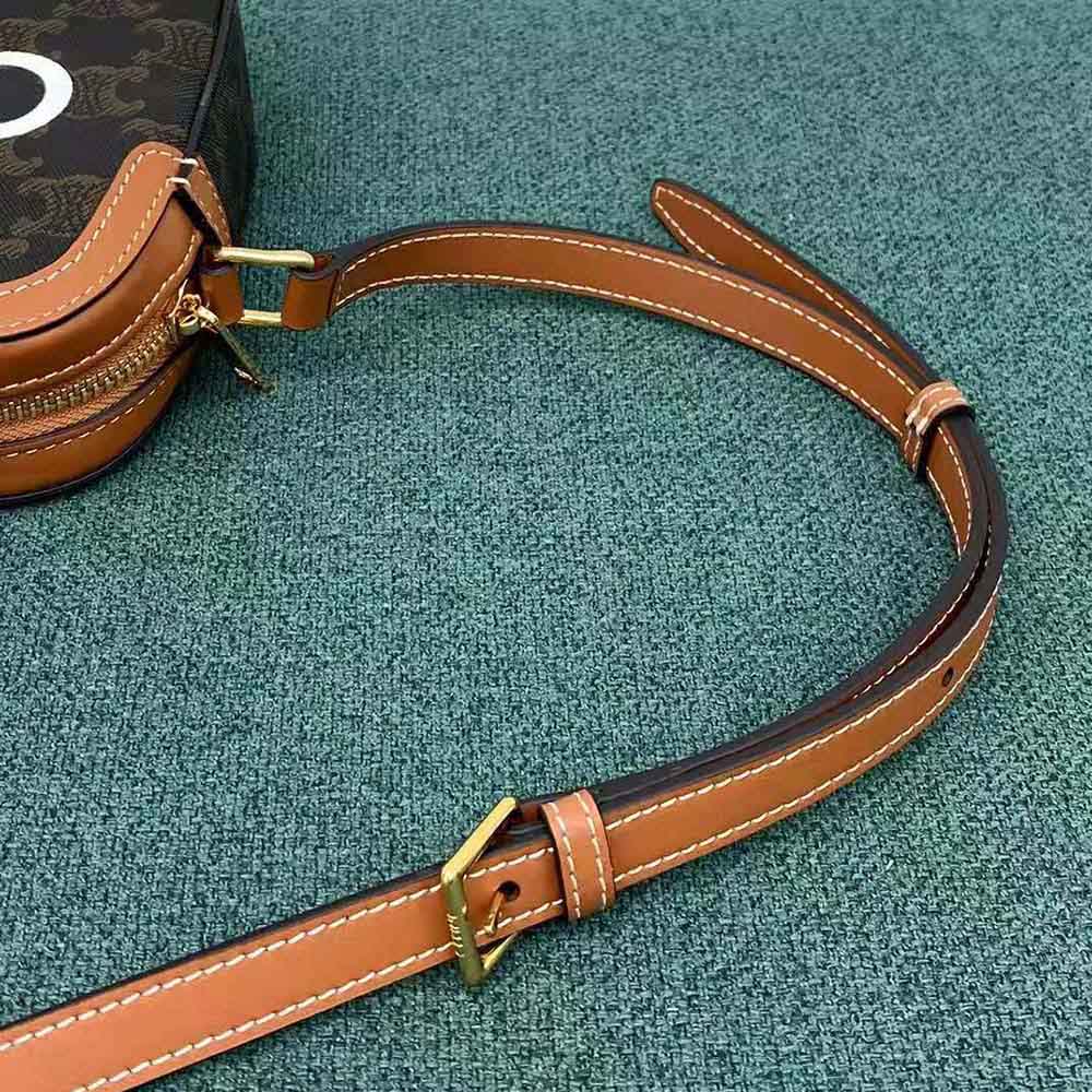 Celine Women Small Camera Bag in Triomphe Canvas-Brown - image 10