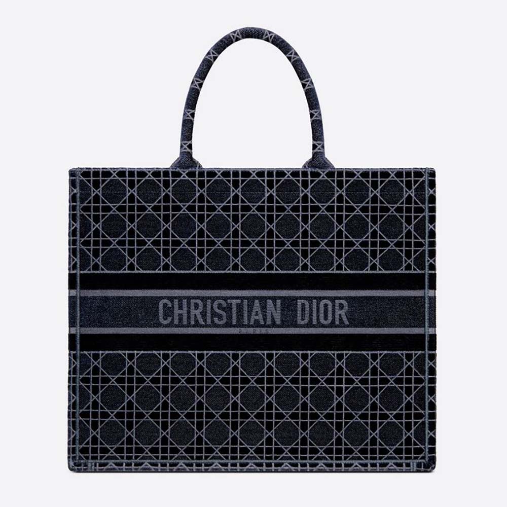 Front view of Dior Book Tote Blue Cannage Embroidered Velvet bag