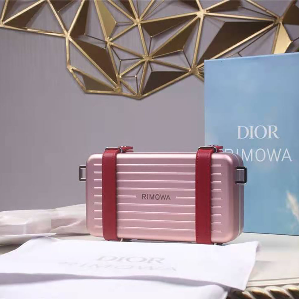 Close-up of aluminum frame and grained calfskin texture on Dior clutch