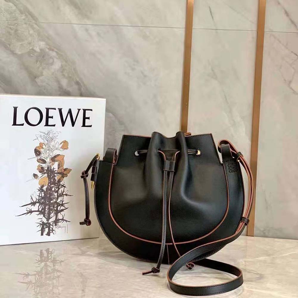 Close-up of silver-tone horseshoe clasp on Loewe Women Horseshoe Bag