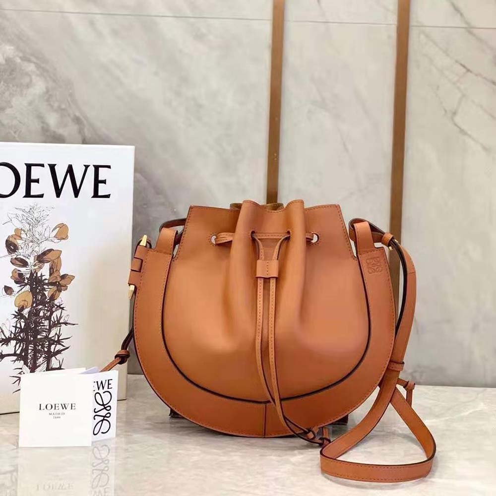 Close-up of gold-tone hardware on Loewe Women Horseshoe Bag