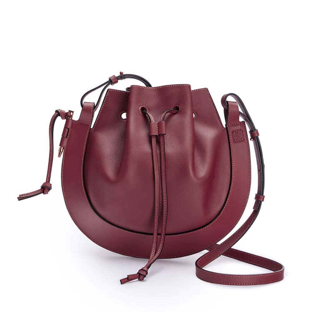 Comprehensive Guide to Loewe Horseshoe Bag: Design, Sizes, and Care