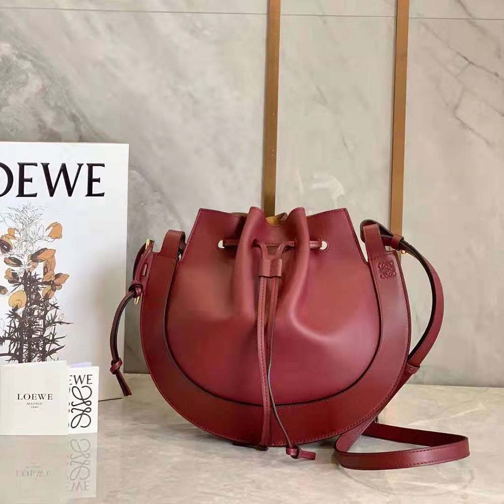 Close-up of gold hardware and maroon leather on Loewe Horseshoe Bag