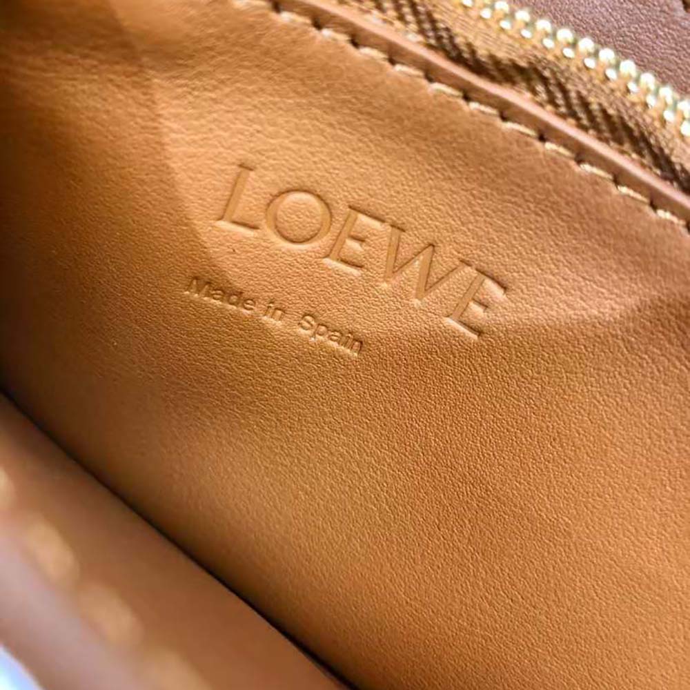 Loewe Women Mini Barcelona Soft Bag in Soft Grained Calfskin-Brown - image 6