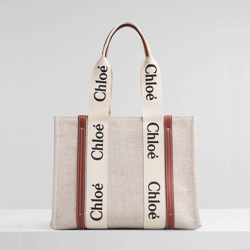 Front view of Chloe Women Medium Woody Tote Bag in Brown canvas and calfskin