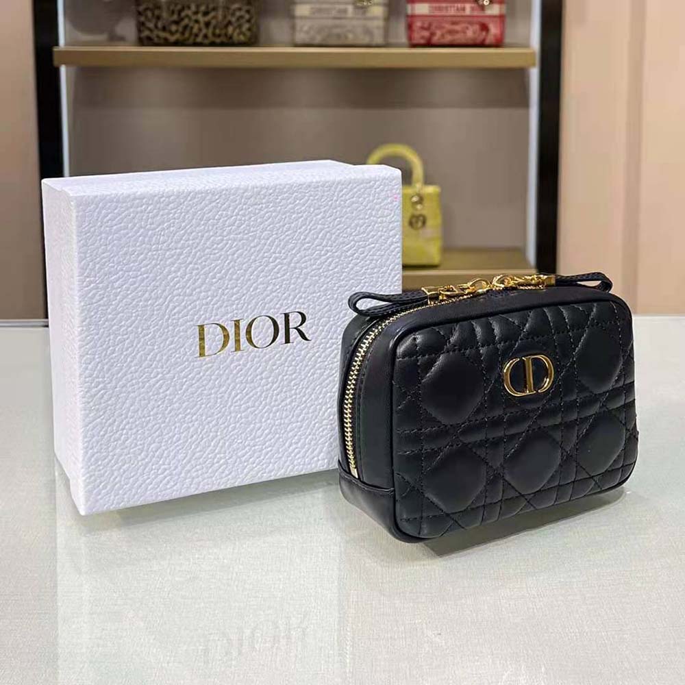 Side angle showing slim profile of Small Dior Caro zipped pouch