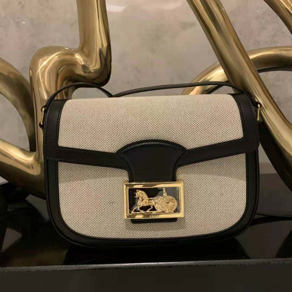 Close-up on silver hardware and clasp of Celine Women Medium Sulky Bag