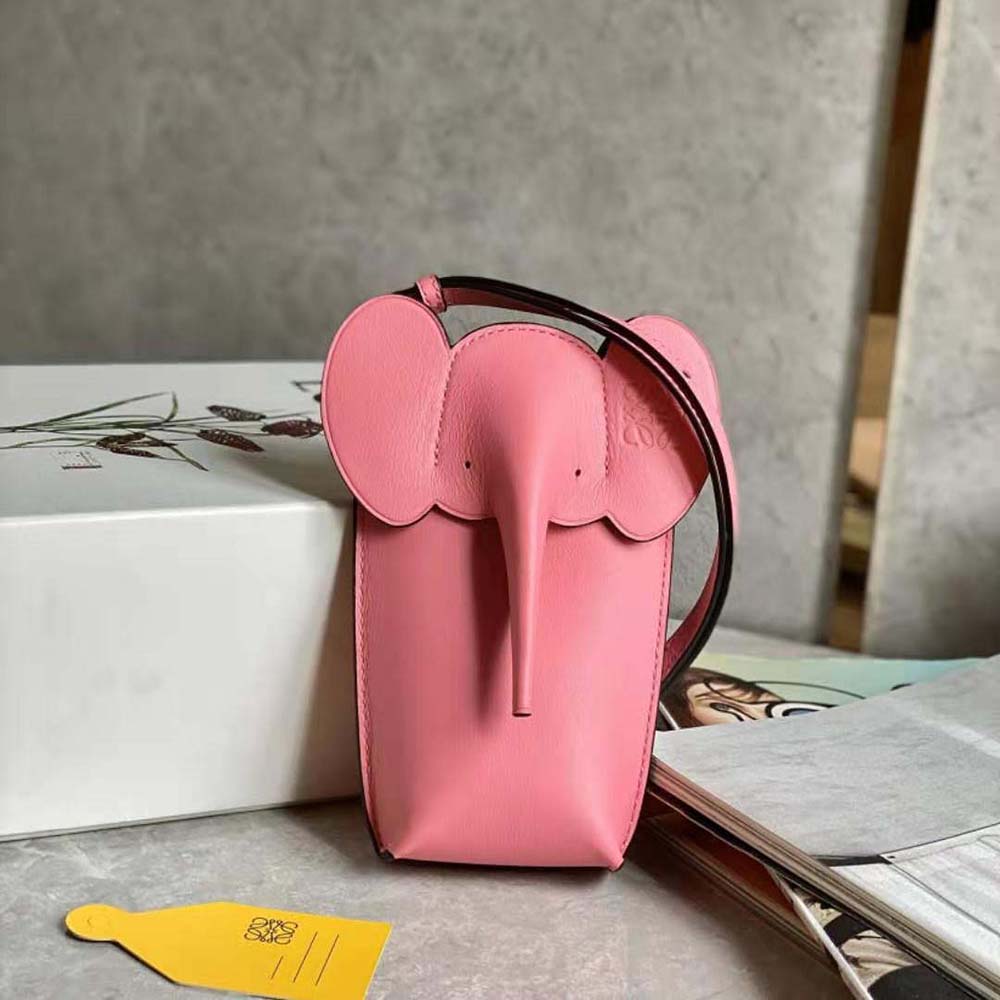 Close-up of silver hardware on Loewe Women Elephant Pocket pink bag
