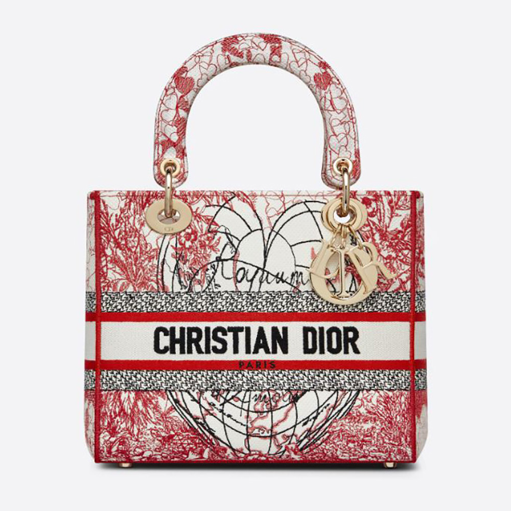 Front view of Dior Women Medium Lady D-lite Bag with embroidery