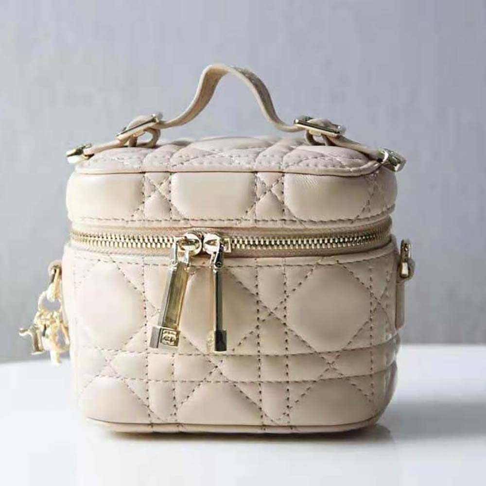 Side angle showing silver-tone hardware and zip closure on Dior Micro Lady Dior Vanity Case
