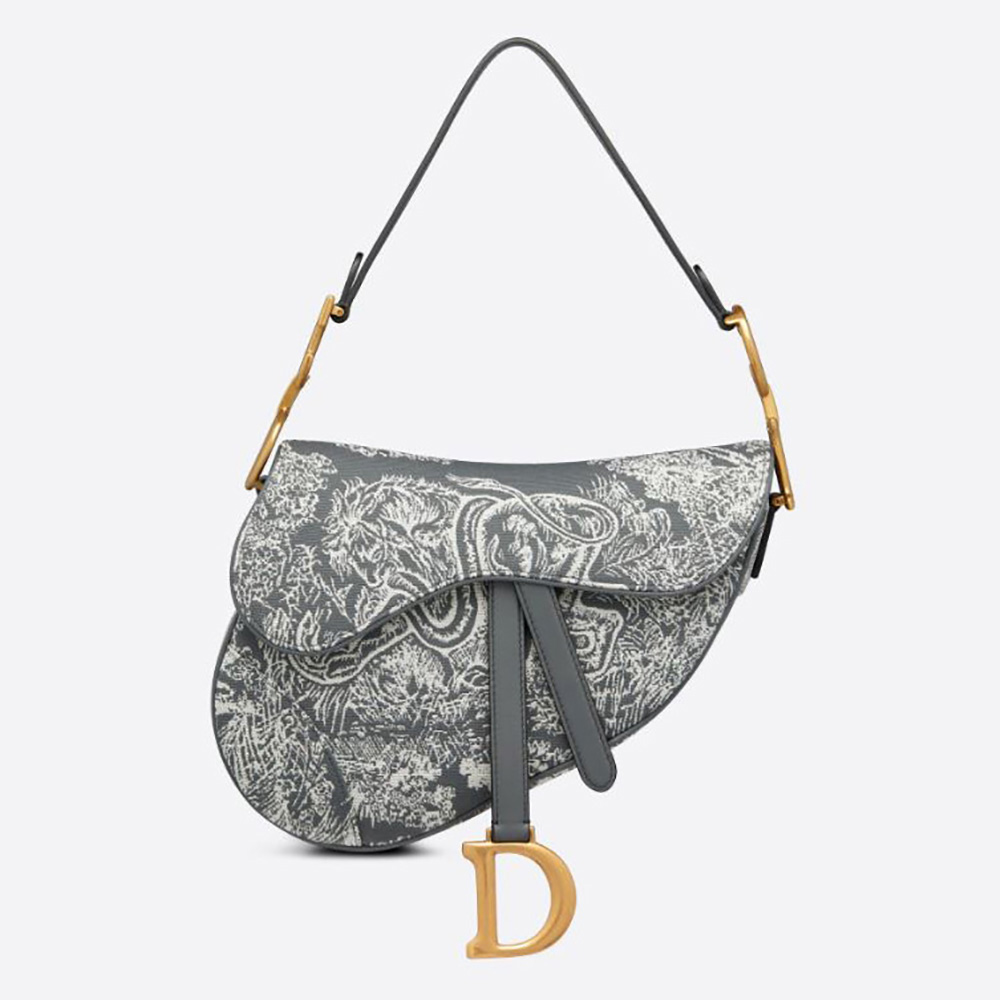 Front view of Dior Women Saddle Bag Toile DE Jouy Reverse Jacquard-Silver