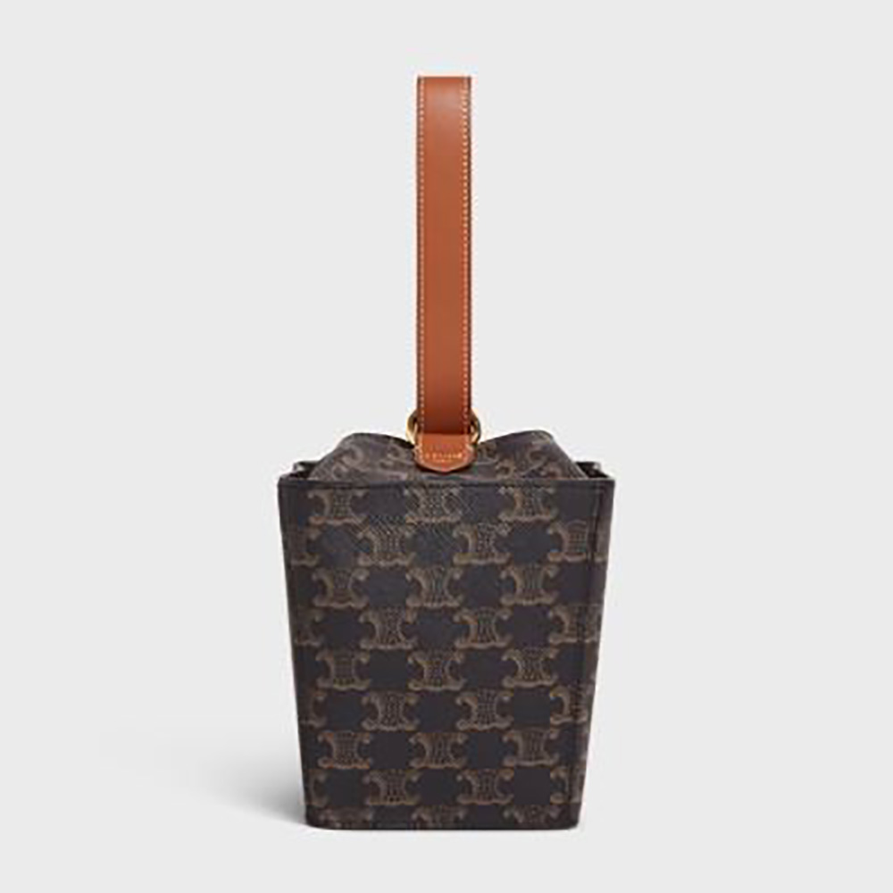 Front view of Celine Women Strap Box in Triomphe Canvas and Calfskin