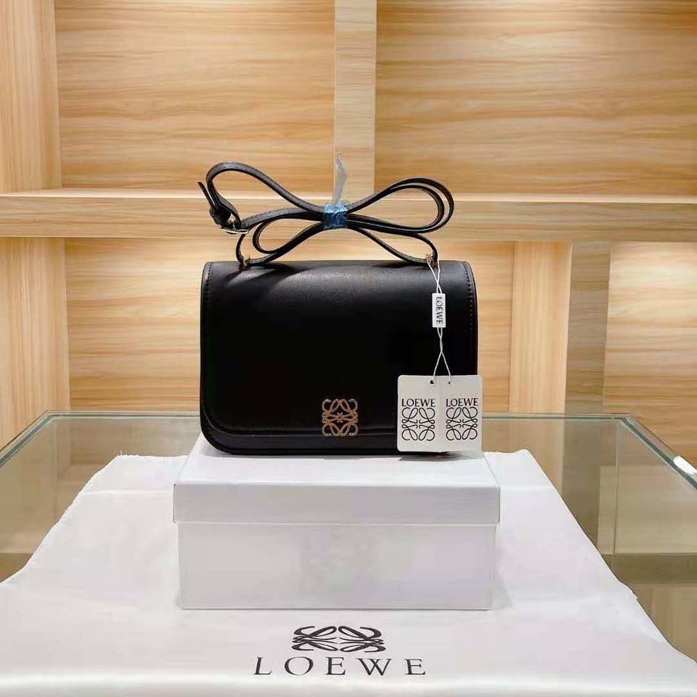 Close-up of gold-tone hardware on Loewe Women Goya Bag
