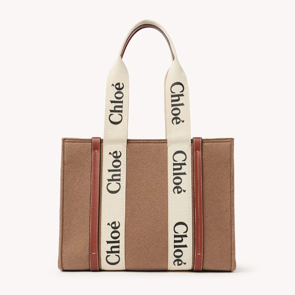 Front view of Chloe Women Medium Woody Tote Bag-Brown with braided handles