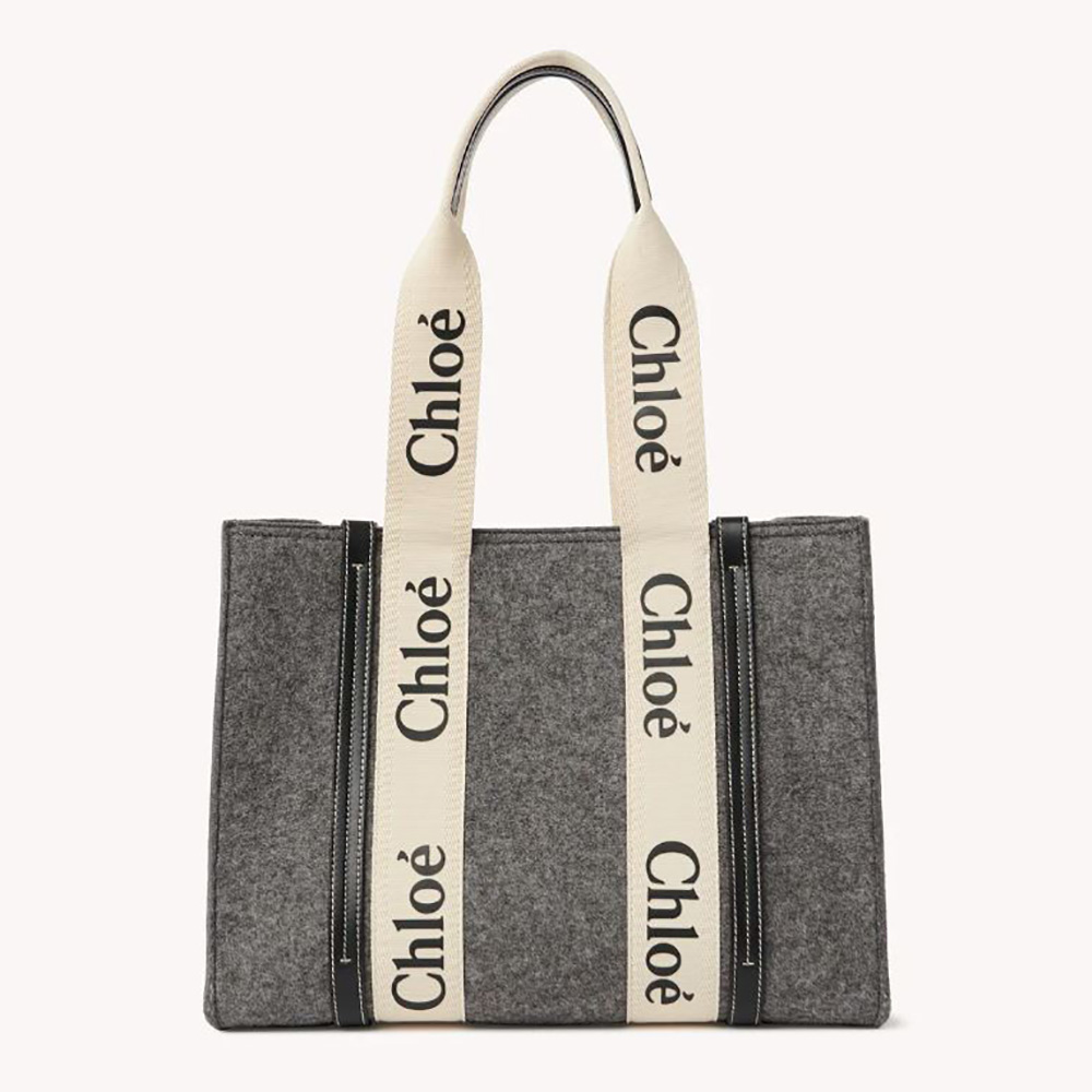 Front view of Chloe Women Medium Woody Tote Bag-Silver showing wooden side panels