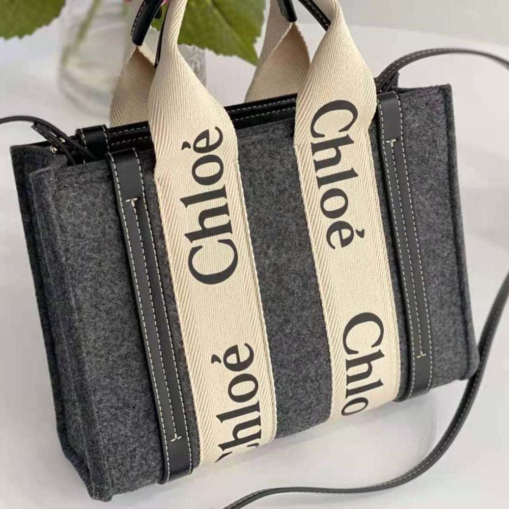 Chloe Women Small Woody Tote Bag with Strap-Gray - image 7