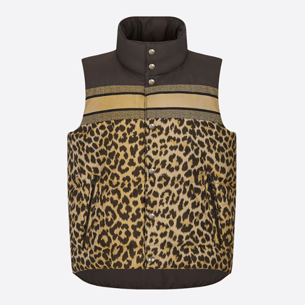 Front view of Dior Women Dioralps Reversible Sleeveless Down Jacket in brown