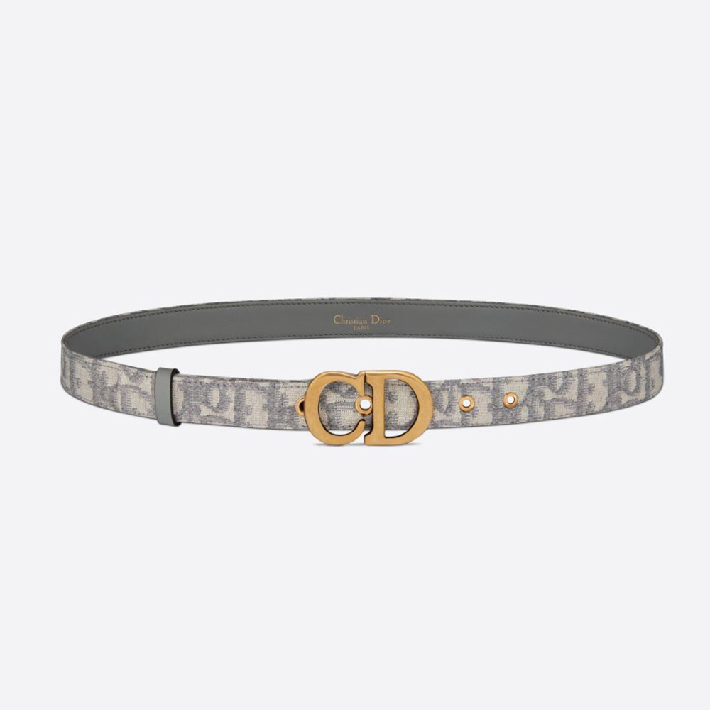 Front view of Dior Women Saddle Belt Gray Dior Oblique Jacquard 20 MM