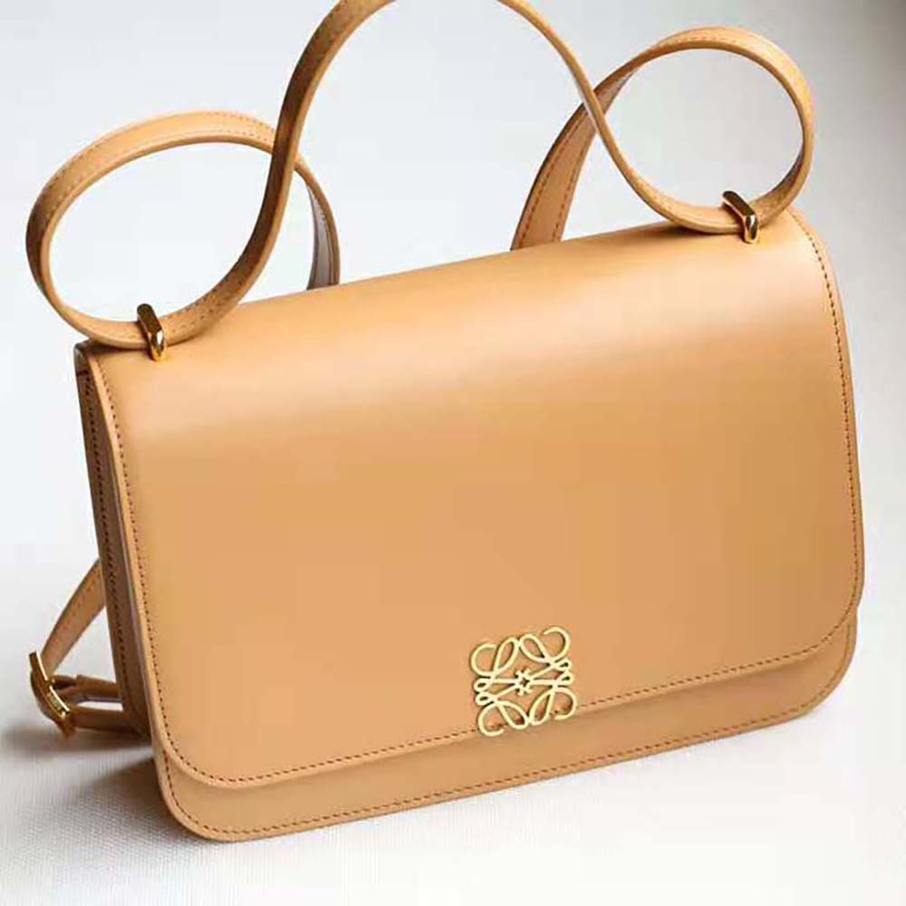 Close-up of Loewe embossed gold hardware on Goya Bag