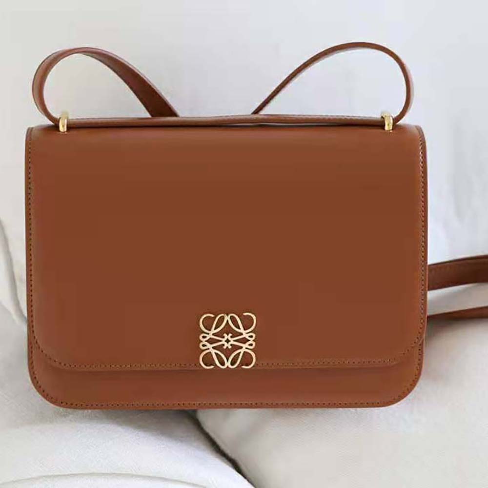 Close-up of gold-tone hardware on Loewe Women Goya Bag