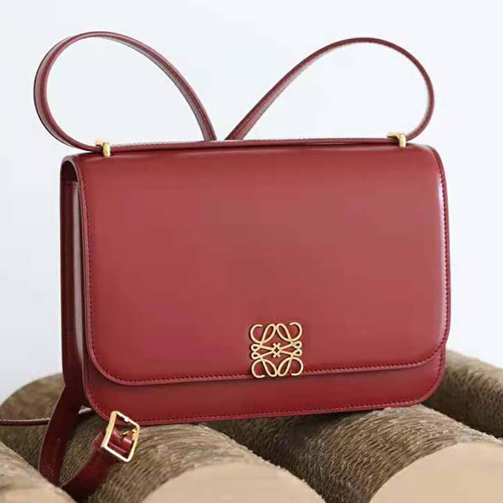 Close-up of gold-tone hardware on Loewe Women Goya Bag