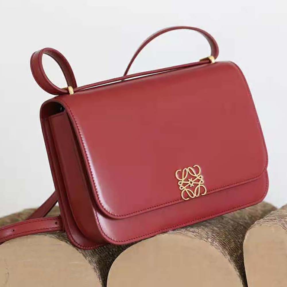 Side profile showing curve silhouette of Loewe Women Goya Bag
