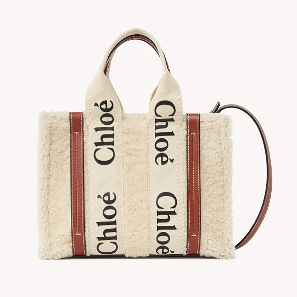Front view of Chloe Women Small Woody Tote Bag with Strap in white leather