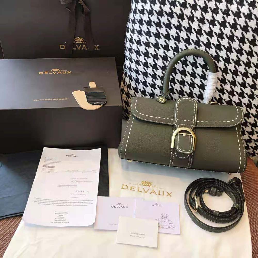 Close-up of gold hardware and Surpique stitching on Delvaux mini bag