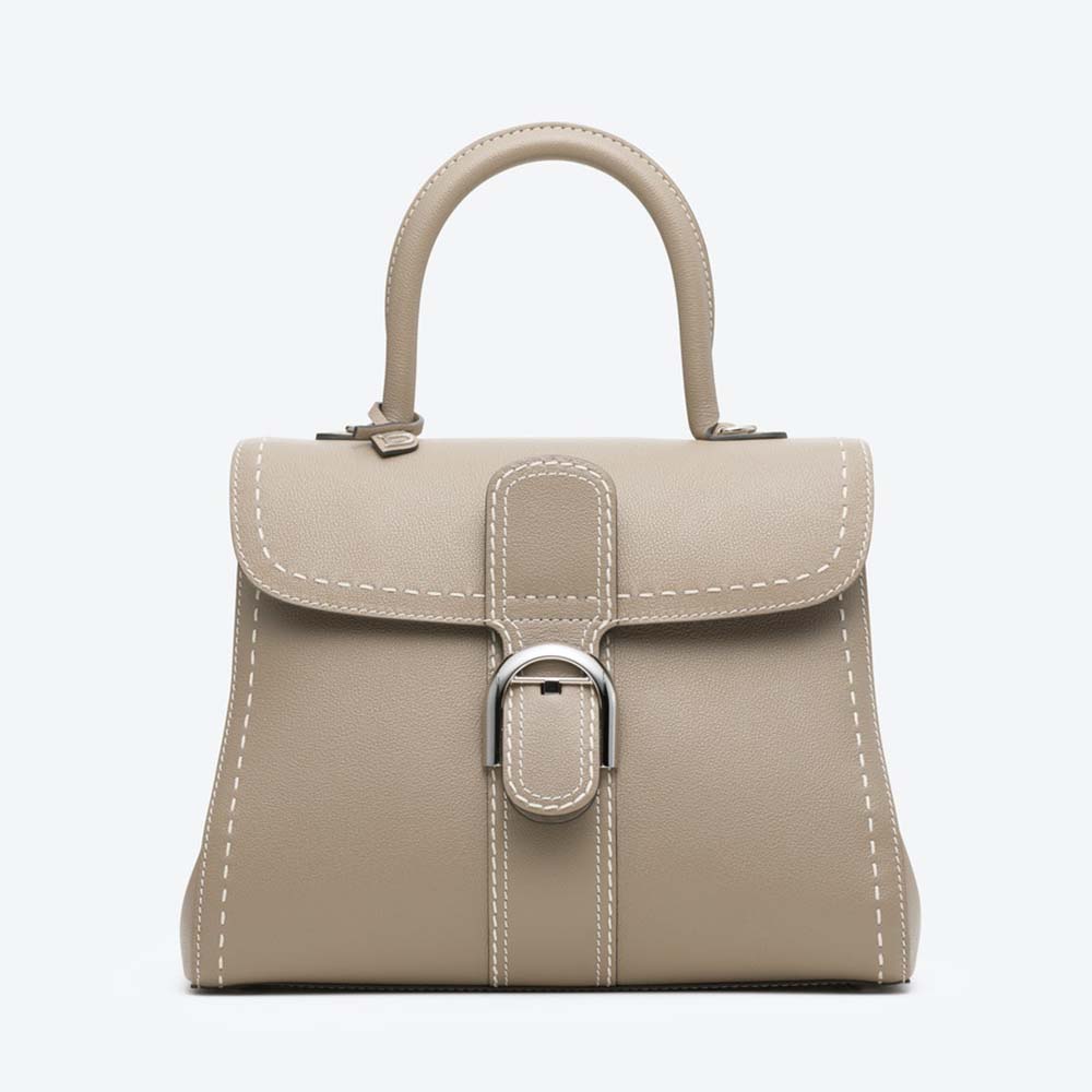 Front view of Delvaux Women Brillant MM Surpique in Rodeo Calf-Brown handbag