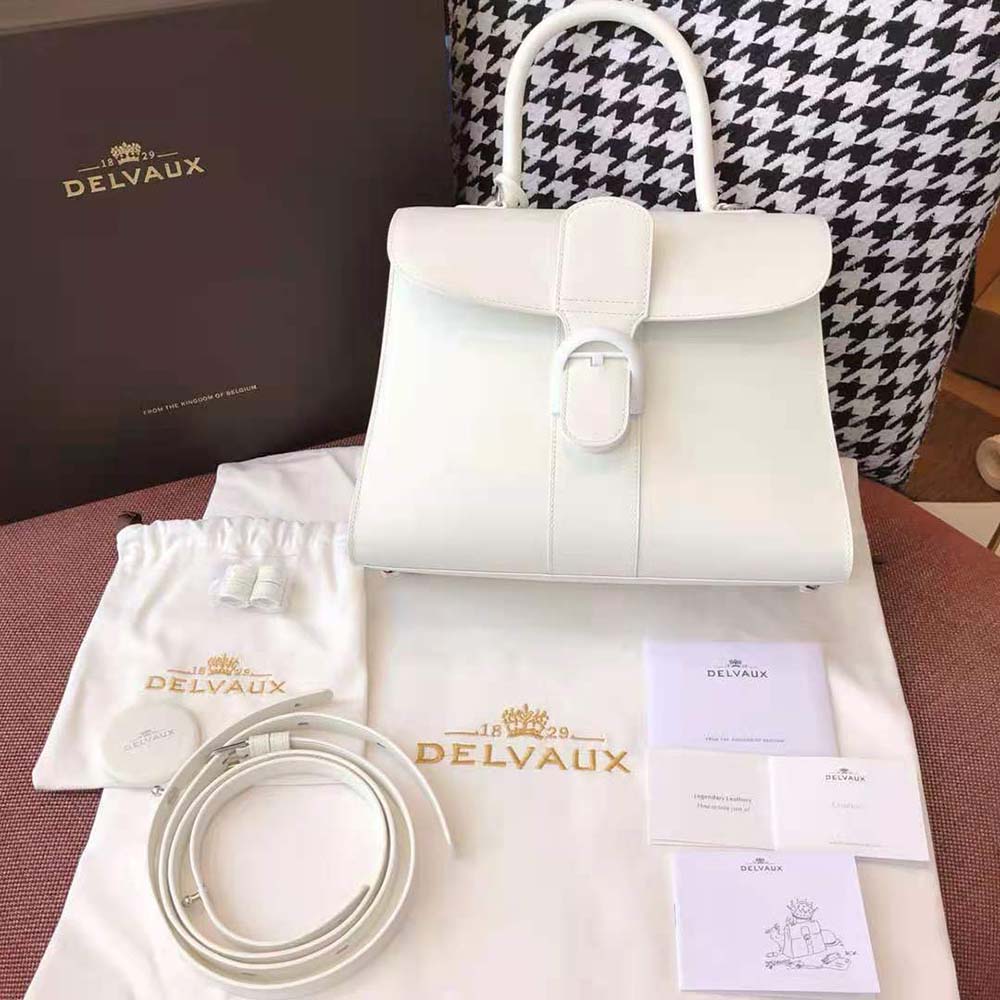 Close-up on gold D-lock hardware of Delvaux Women Brillant MM bag