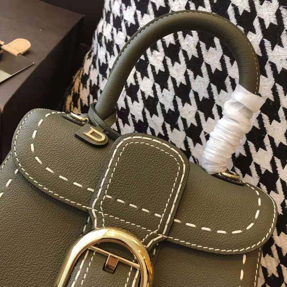 Delvaux Women Brillant Mini Surpique in Rodeo Calf - image 10