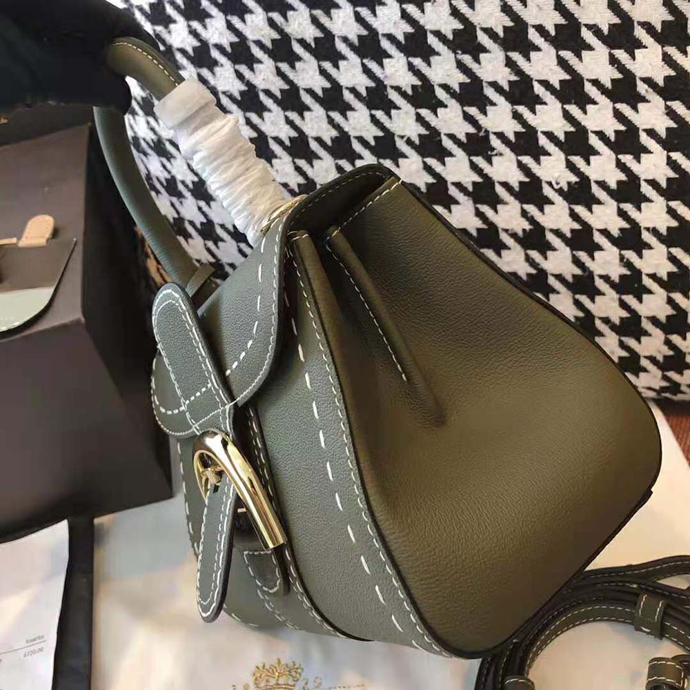 Delvaux Women Brillant Mini Surpique in Rodeo Calf - image 6