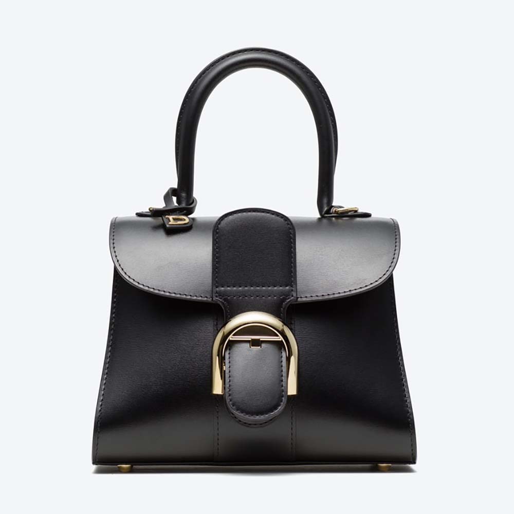 Front view of Delvaux Women Brillant Mini in Box Calf-Black handbag
