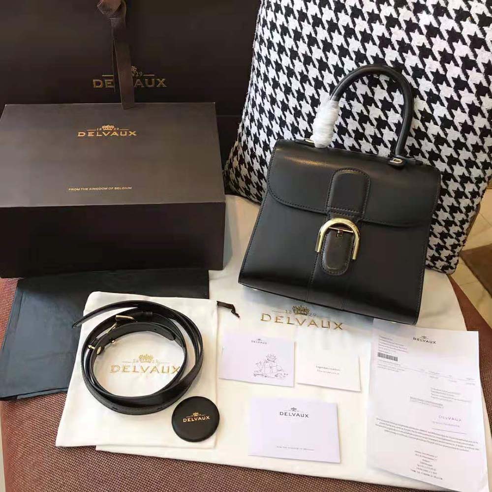 Close-up of polished gold-tone hardware on Delvaux Women Brillant Mini
