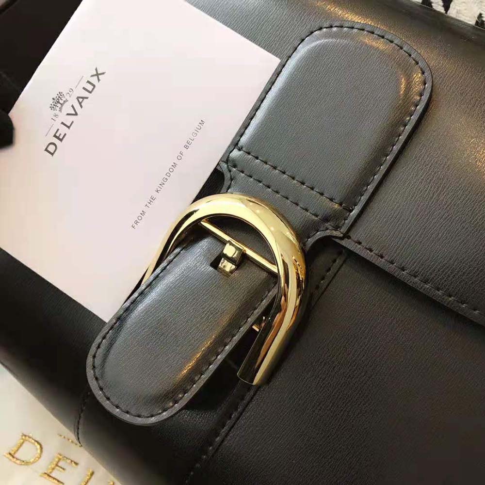 Delvaux Women Brillant Mini in Box Calf-Black - image 9