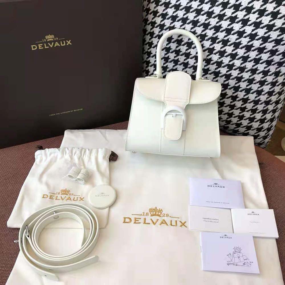 Close-up of gold turn-lock hardware on Delvaux Women Brillant Mini