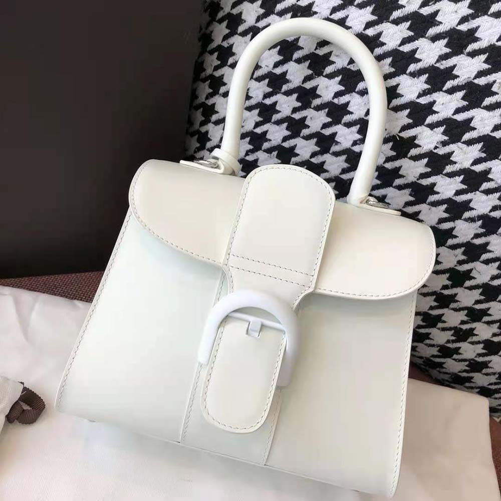 Delvaux Women Brillant Mini in Box Calf-White - image 4