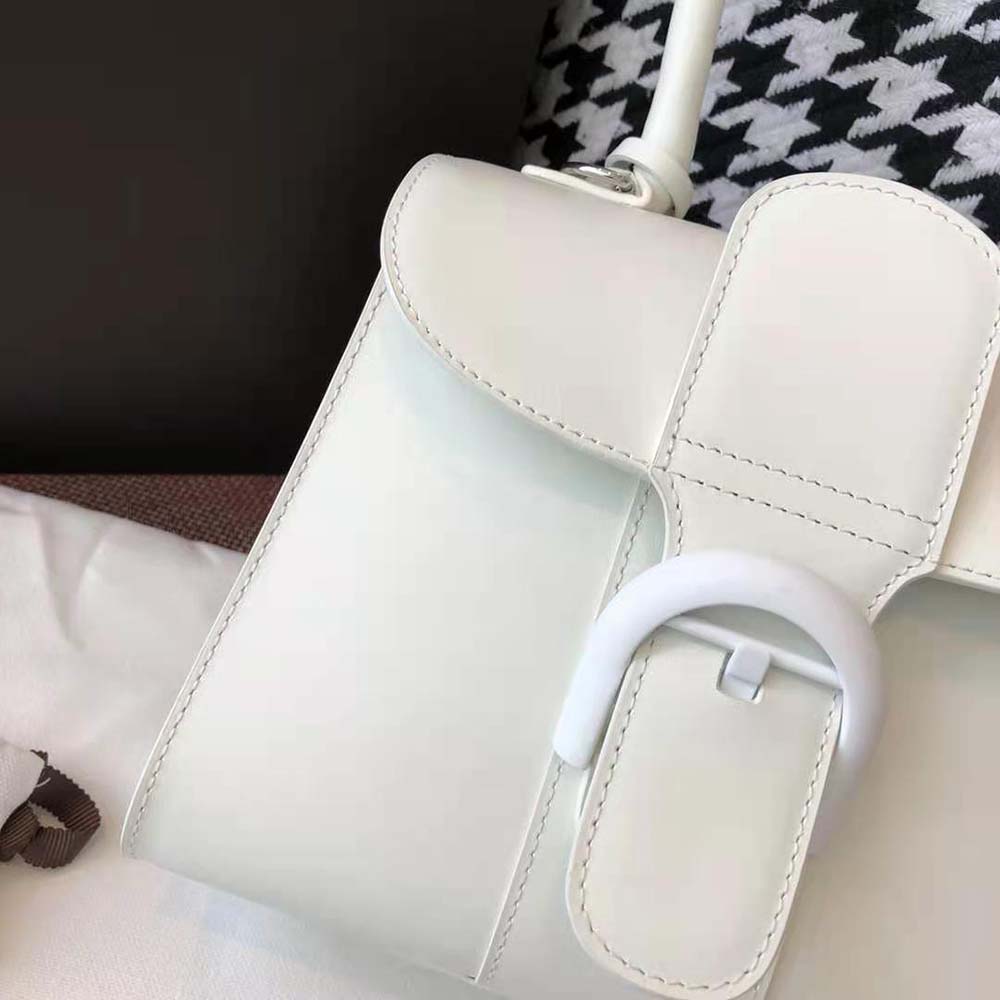 Delvaux Women Brillant Mini in Box Calf-White - image 10