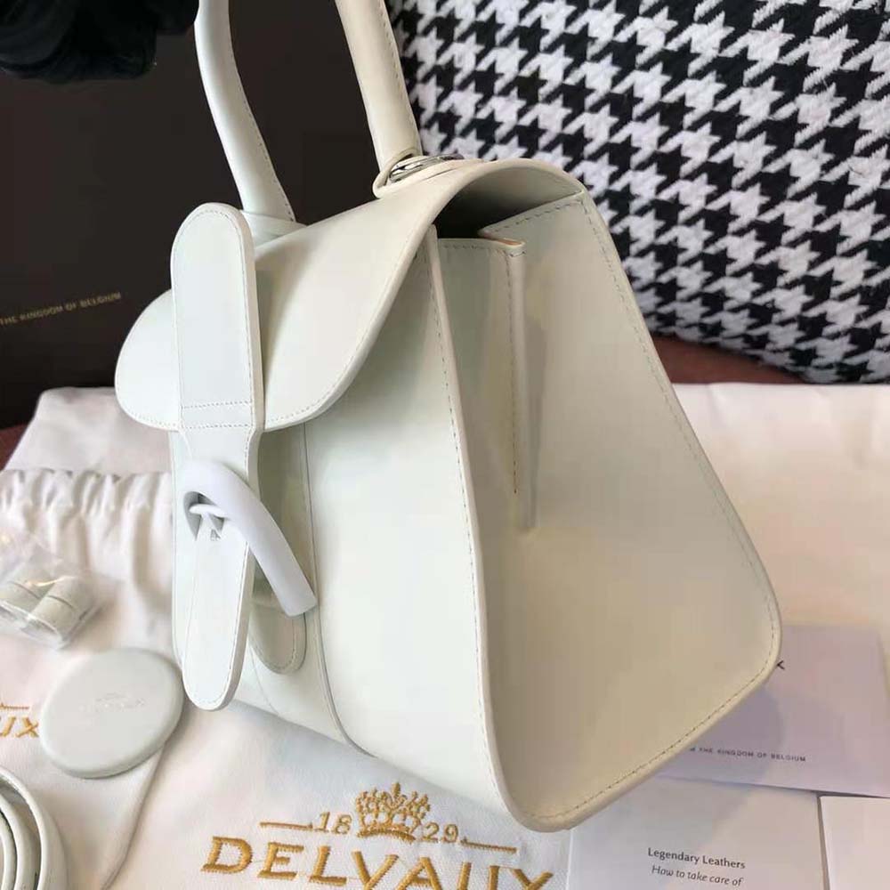 Delvaux Women Brillant Mini in Box Calf-White - image 6