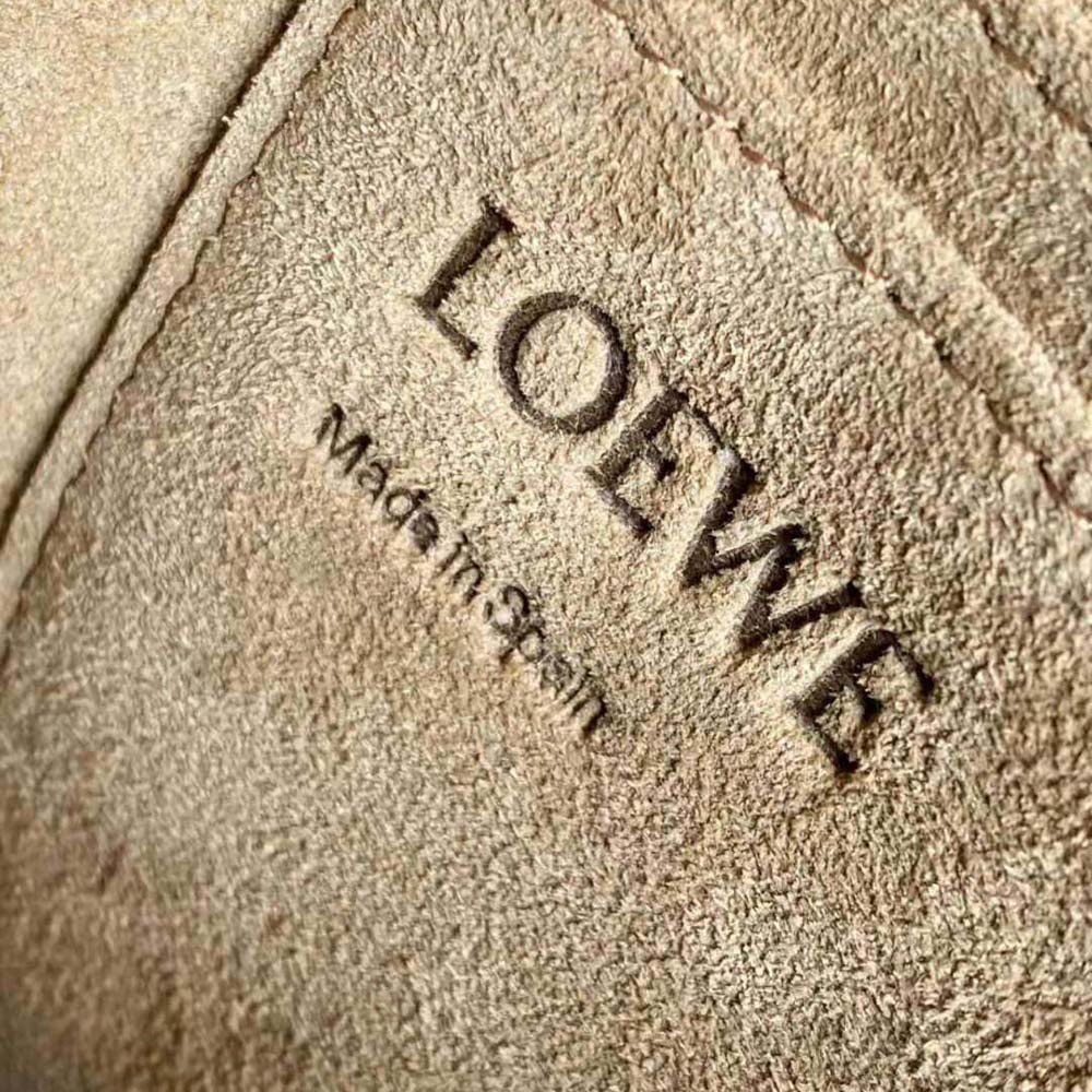 Loewe Women Mini Gate Dual Bag in Soft Calfskin and Jacquard-Brown - image 10