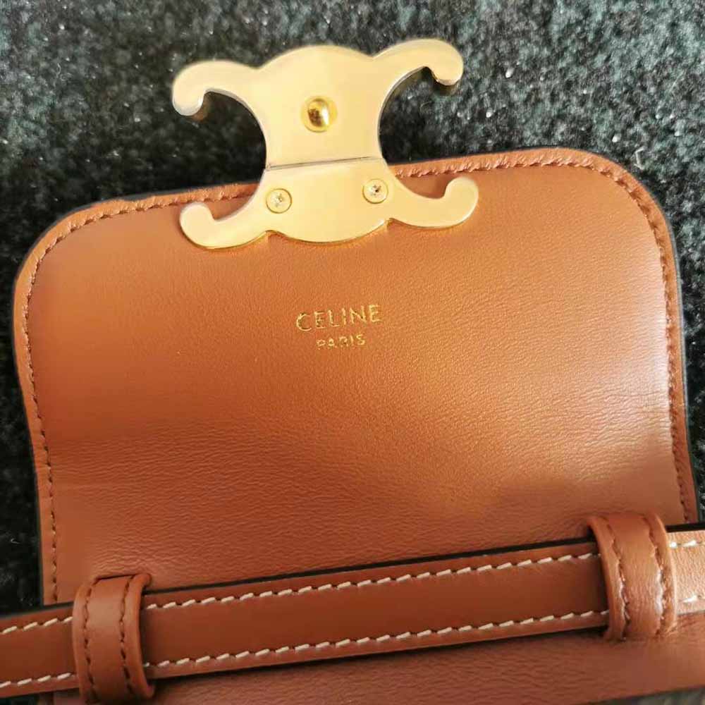 Celine Women Mini Triomphe in Triomphe Canvas and Calfskin - image 9