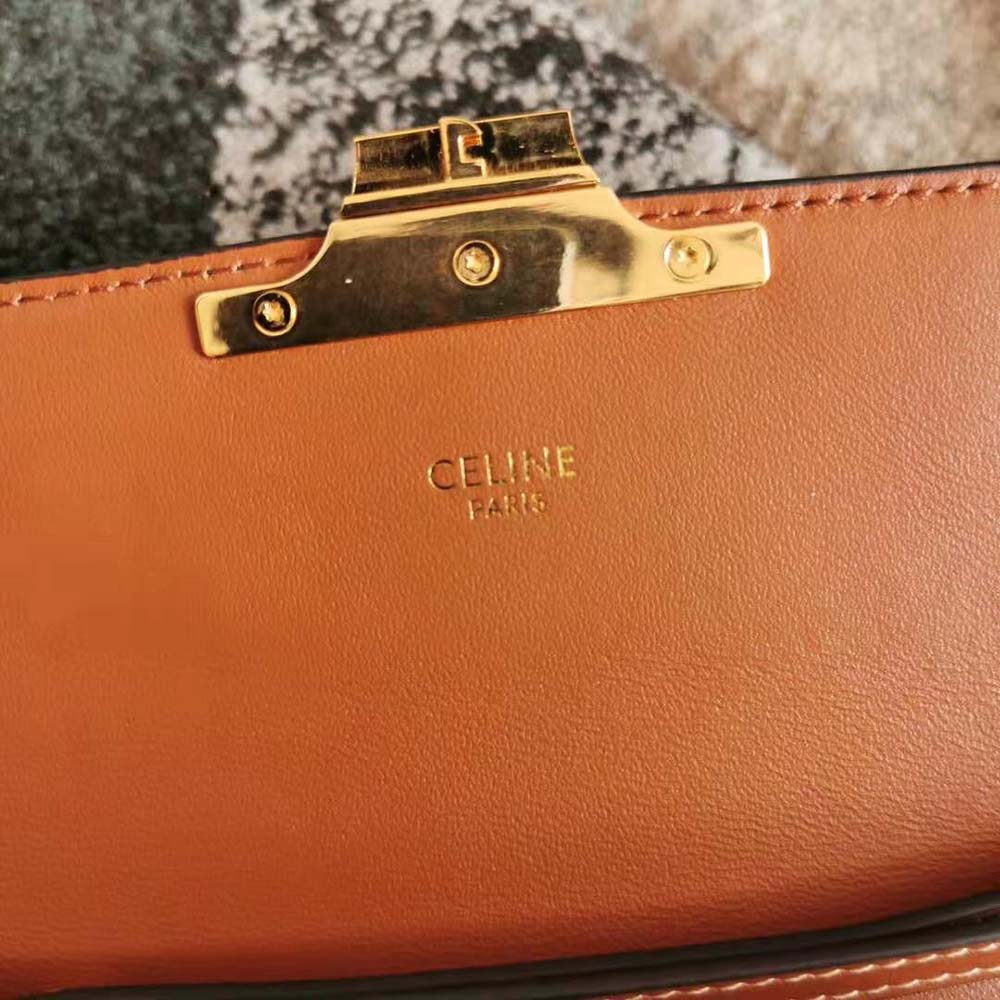 Celine Women Strap Bag Triomphe in Triomphe Canvas and Calfskin - image 10