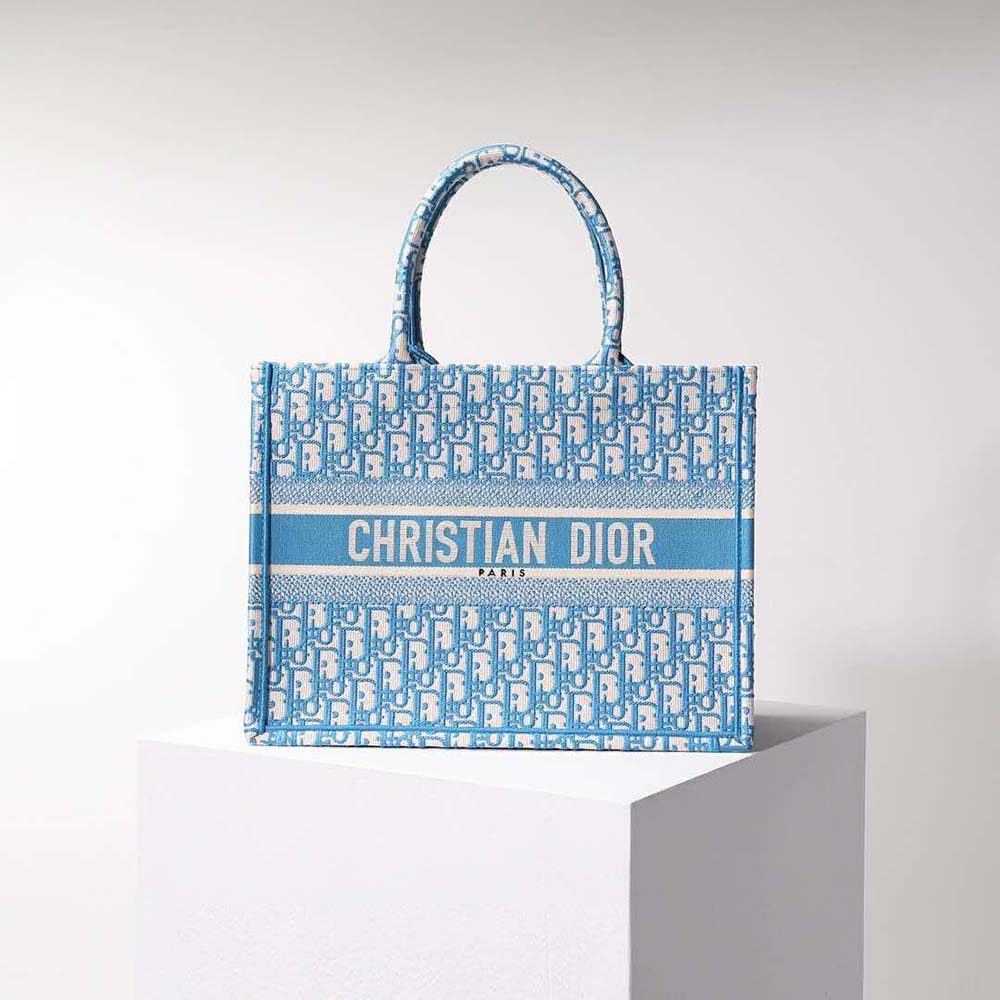 Close-up of cornflower blue canvas and Dior Oblique embroidery detail