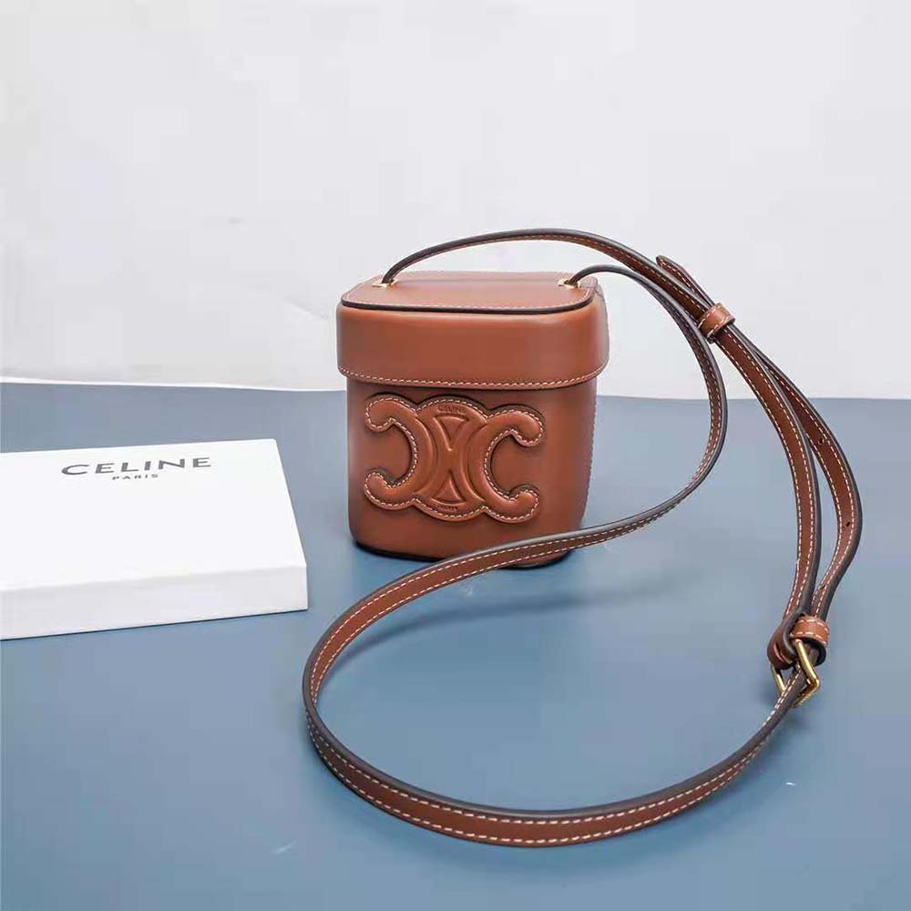 Close-up of gold-tone Triomphe clasp on Celine Women Small Box Cuir Triomphe