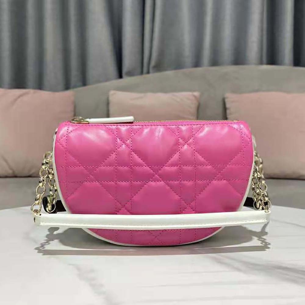 Close-up of macrocannage quilted pattern and Dior hardware on bag