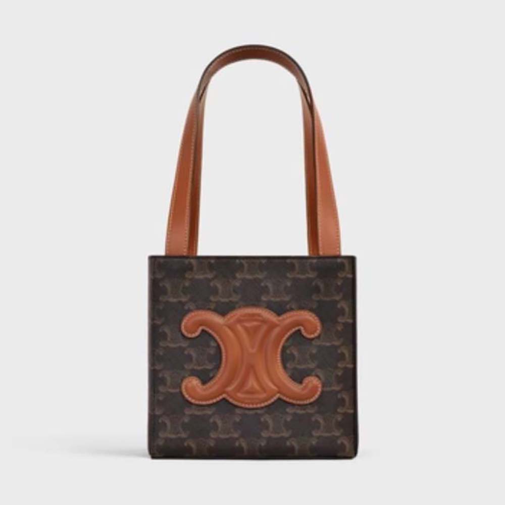 Front view of Celine Women Cube Bag Cuir Triomphe in brown canvas and calfskin